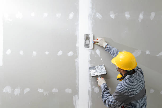 Environmental Consulting for Mold Prevention in Sayre, OK