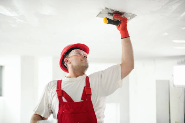 Best Attic Mold Removal  in Sayre, OK