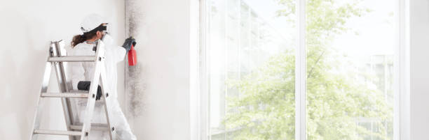 Best Mold Remediation for Rental Properties  in Sayre, OK